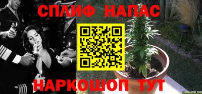 трава Бузулук